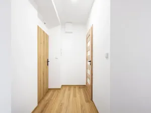 Prodej bytu 1+1, Brno, Svatopluka Čecha, 40 m2