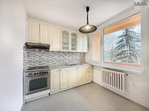 Pronájem bytu 2+1, Bílina - Pražské Předměstí, Aléská, 49 m2