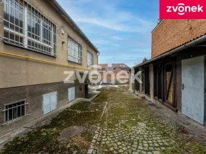 Prodej obchodního prostoru, Uherský Brod, 700 m2