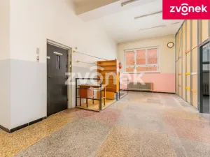 Prodej obchodního prostoru, Uherský Brod, 700 m2