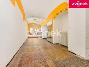 Prodej vily, Uherský Brod, Masarykovo nám., 700 m2