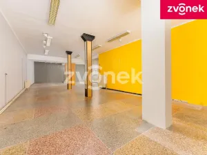 Prodej vily, Uherský Brod, Masarykovo nám., 700 m2