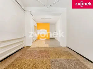 Prodej vily, Uherský Brod, Masarykovo nám., 700 m2