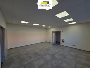 Pronájem výrobních prostor, Řepov, 816 m2