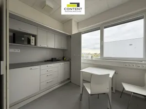 Pronájem skladu, Praha - Horní Počernice, K Bílému vrchu, 1591 m2