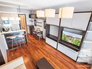 Pronájem bytu 1+kk, Praha - Nusle, Sekaninova, 33 m2