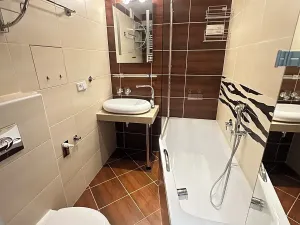 Pronájem bytu 1+kk, Jablonec nad Nisou, Jizerská, 29 m2