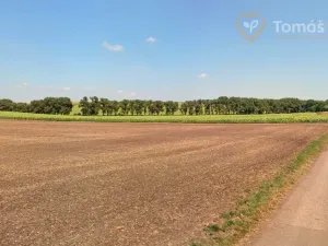 Prodej pole, Nikolčice, 10239 m2