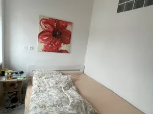 Prodej bytu 2+kk, Jihlava, Seifertova, 36 m2