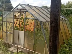 Prodej zahrady, Uničov, 150 m2