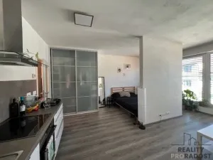 Pronájem bytu 1+kk, Brno, Milady Horákové, 40 m2