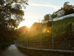 Prodej bytu 2+kk, Praha - Nusle, Bělehradská, 126 m2