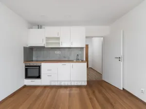 Pronájem bytu 1+kk, České Budějovice - České Budějovice 2, Emy Destinové, 28 m2