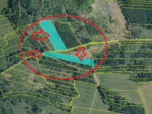 Prodej podílu lesa, Úboč, 4513 m2