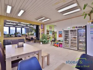 Pronájem obchodního prostoru, Praha - Troja, Lodžská, 254 m2