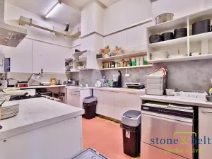 Pronájem obchodního prostoru, Praha - Troja, Lodžská, 254 m2