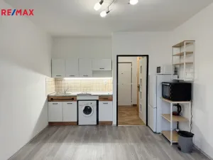 Pronájem bytu 1+kk, Praha - Braník, Nad lesním divadlem, 23 m2