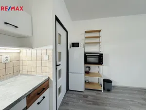Pronájem bytu 1+kk, Praha - Braník, Nad lesním divadlem, 23 m2
