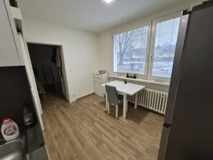 Prodej bytu 1+1, Litoměřice - Předměstí, Odboje, 46 m2