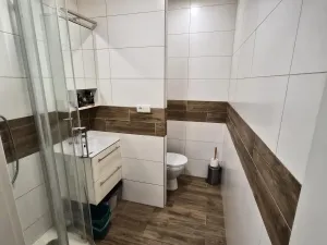 Prodej bytu 1+1, Litoměřice - Předměstí, Odboje, 46 m2