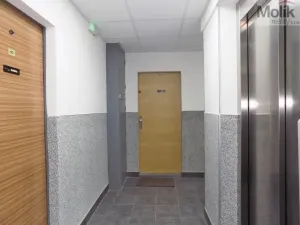 Prodej bytu 3+1, Ústí nad Labem - Ústí nad Labem-centrum, Malátova, 74 m2