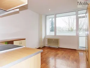 Prodej bytu 1+kk, Ústí nad Labem - Ústí nad Labem-centrum, Hoření, 21 m2