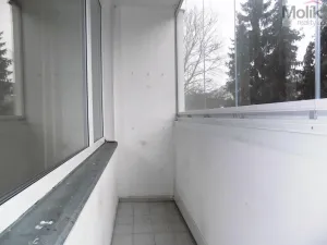 Prodej bytu 1+kk, Ústí nad Labem - Ústí nad Labem-centrum, Hoření, 21 m2