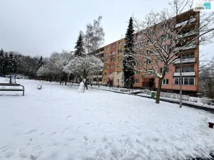 Prodej bytu 1+1, Chodov, U Koupaliště, 35 m2