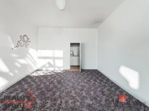 Prodej bytu 2+kk, Praha - Žižkov, Hartigova, 60 m2