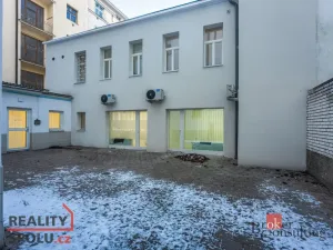 Prodej bytu 2+kk, Praha - Žižkov, Hartigova, 60 m2