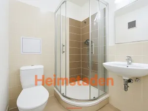 Pronájem bytu 1+1, Ostrava - Poruba, Dělnická, 27 m2