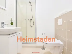 Pronájem bytu 1+kk, Plzeň - Jižní Předměstí, Magisterská, 28 m2