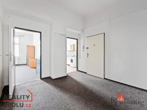 Prodej bytu 2+1, Praha - Žižkov, Hartigova, 76 m2