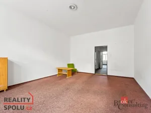 Prodej bytu 2+1, Praha - Žižkov, Hartigova, 76 m2