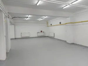 Pronájem obchodního prostoru, Příbram - Příbram VIII, Budovatelů, 220 m2