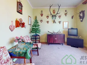 Prodej rodinného domu, Javorník, Nádražní, 269 m2