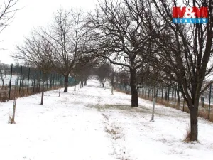 Prodej pole, Starý Poddvorov, 4096 m2