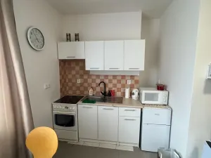 Pronájem bytu 1+kk, Jirkov, Ervěnická, 21 m2