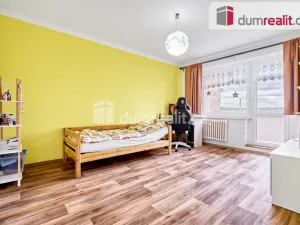 Prodej bytu 2+1, Ostrov, Lidická, 62 m2