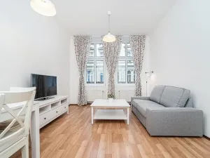 Prodej bytu 2+kk, Praha - Karlín, Za Poříčskou bránou, 53 m2