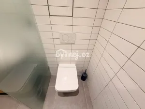 Pronájem bytu 1+kk, Brno - Trnitá, Křenová, 2641 m2