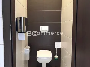 Pronájem kanceláře, Brno, Purkyňova, 50 m2