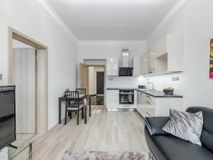 Pronájem bytu 2+kk, Praha - Holešovice, Šimáčkova, 50 m2