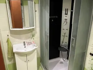 Pronájem bytu 3+1, Ostrava, Gen. Píky, 65 m2