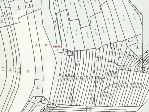 Dražba louky, Ivančice, 41 m2