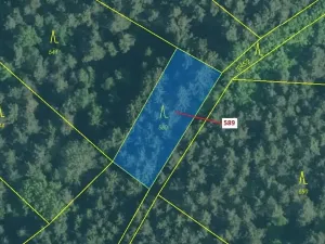 Dražba lesa, Kuřimany, 713 m2