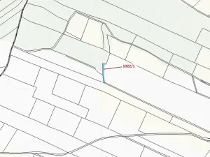 Dražba pole, Olešnice, 318 m2