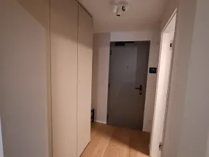 Pronájem bytu 1+kk, Brno, Bratislavská, 39 m2