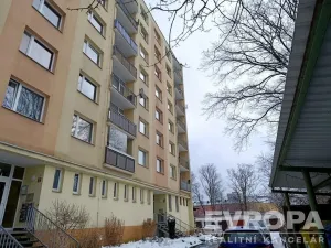 Pronájem bytu 1+kk, Liberec - Liberec I-Staré Město, Ruprechtická, 20 m2