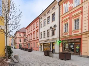 Prodej bytu 2+kk, České Budějovice, Dr. Stejskala, 77 m2